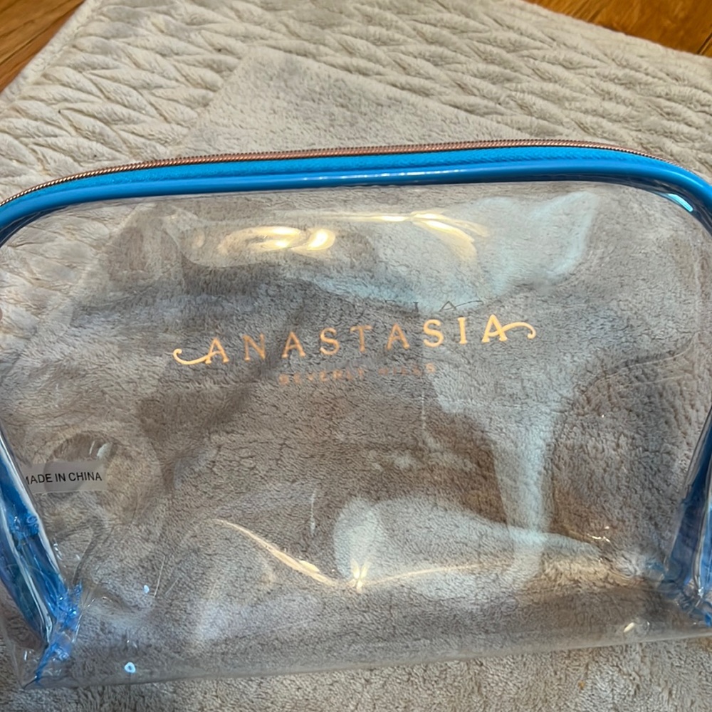 Anastasia makeup bag